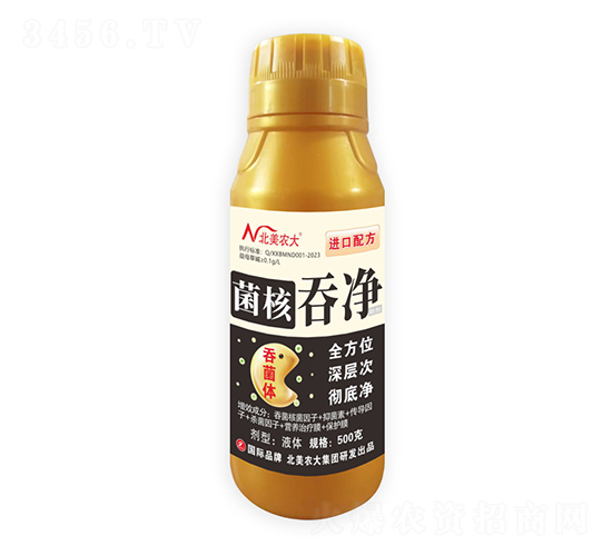 �����̃�-�����r(n��ng)��