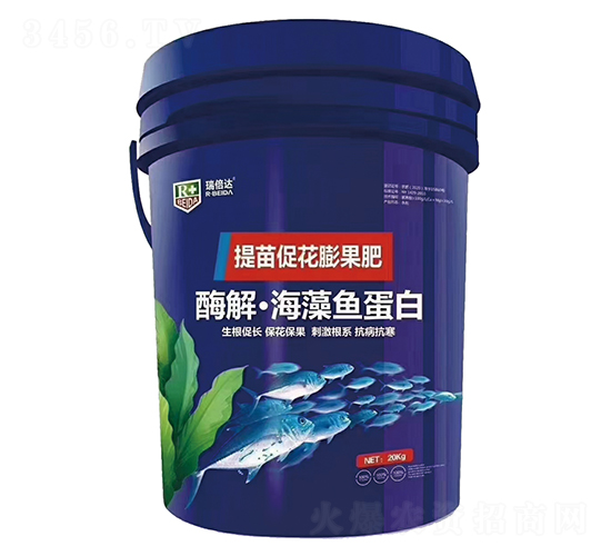 ø�⡤�����~(y��)����-���_(d��)