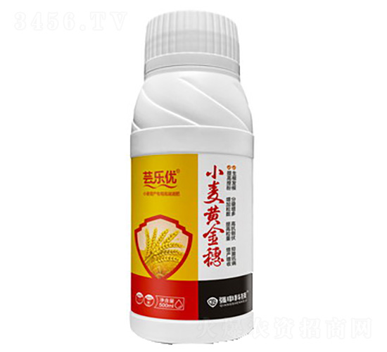 小麥黃金穗-蕓樂優(yōu)-強(qiáng)申科技