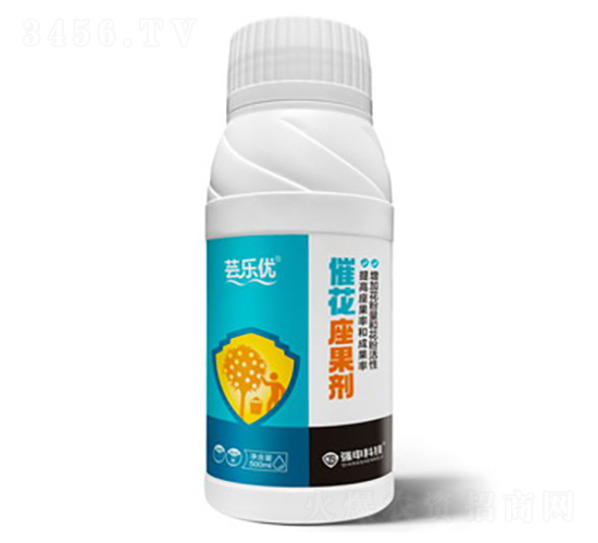 �߻�������-�|��(l��)��(y��u)-��(qi��ng)��Ƽ�