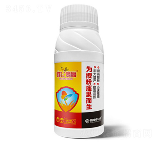 ���w���衤���ڷ���������-����Ƽ�