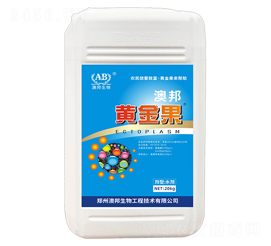 �S���-�İ�����