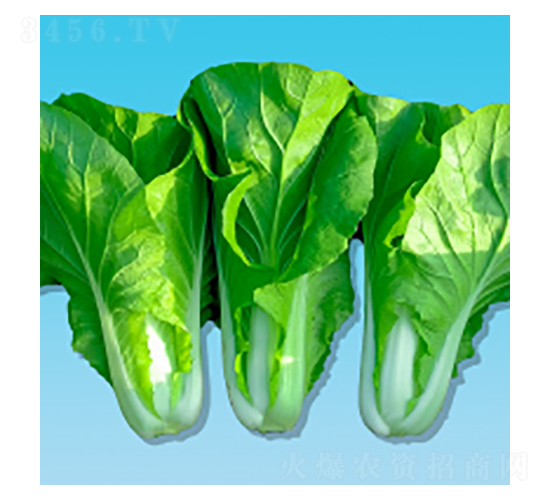 ��˷N��-����396-�A孷N�I(y��)