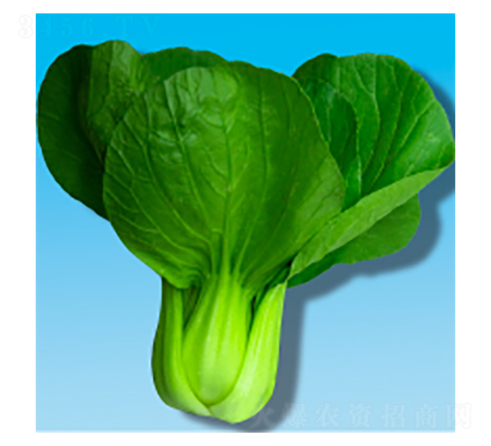 �๣�˷N��-���399-�A孷N�I(y��)