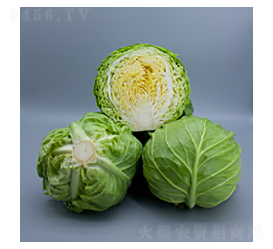 ���{(l��n)�N��-�GӰ-�A孷N�I(y��)