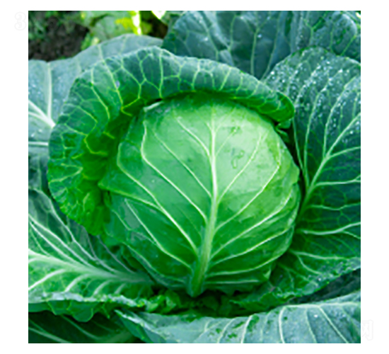 ���{�N��-學�312-�A孷N�I(y��)