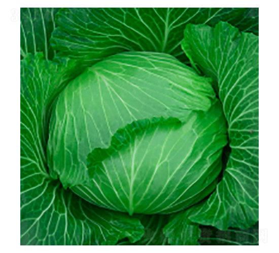 ���{(l��n)�N��-學�316-�A孷N�I(y��)