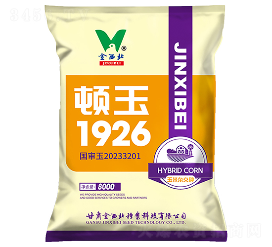 頓玉1926-玉米種子-金西北種業(yè)