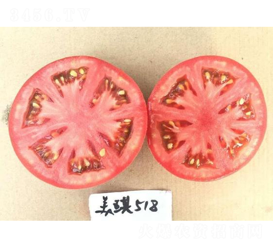 �߿�����518-���ѷN��-���S�N�I(y��)