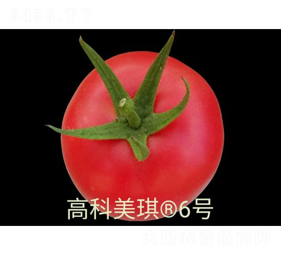 �߿�����6̖-���ѷN��-���S�N�I(y��)