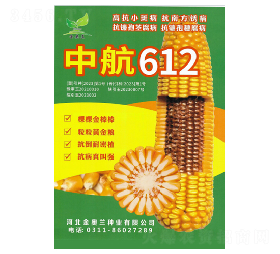 中航612-玉米種子-秦豐種業(yè)