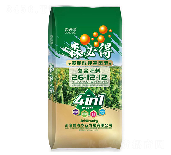 ɭ�ص�-�S����⛻����͏�(f��)�Ϸ���26-12-12-�Sɭ�r(n��ng)�I(y��)