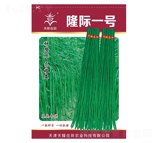 ¡�Hһ̖-��¡�r(n��ng)�I(y��)