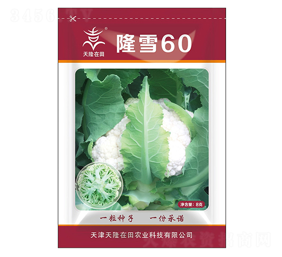 ¡ѩ60-��¡����-��¡�r�I(y��)