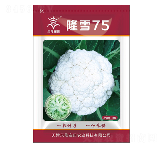 ¡ѩ75-��¡����-��¡�r(n��ng)�I(y��)