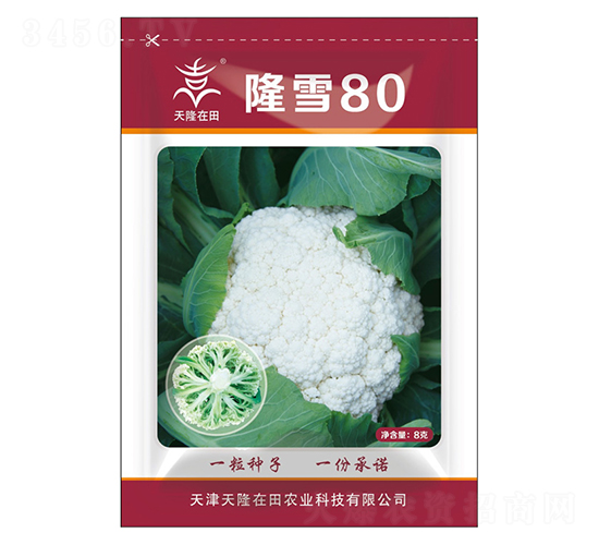 ¡ѩ80-��¡����-��¡�r(n��ng)�I(y��)