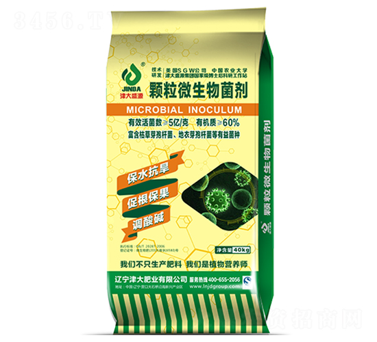 �w��΢�������-���ʢԴ