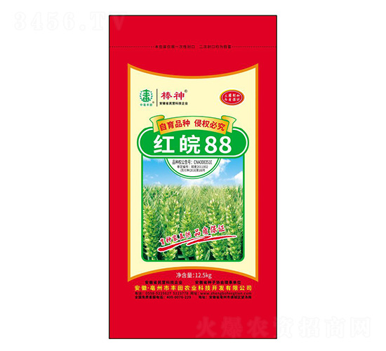 紅皖88小麥種子-棒神-豐田農(nóng)業(yè)