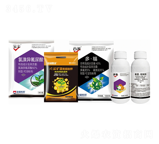 ����������Q����-�����