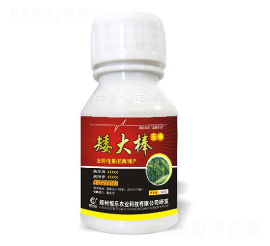 東北玉米矮化專用產(chǎn)品-玉米矮大棒-恒樂(lè)農(nóng)業(yè)