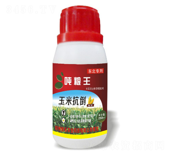 ���׿������Z��-�㘷�r(n��ng)�I(y��)