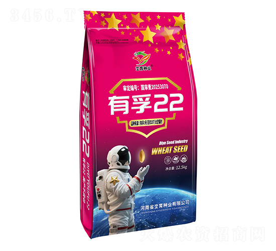 有孚22-小麥種子-坔育種業(yè)