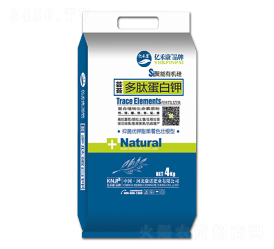 ��̦���ĵ����-�|�̿�-���Z�ʘI(y��)