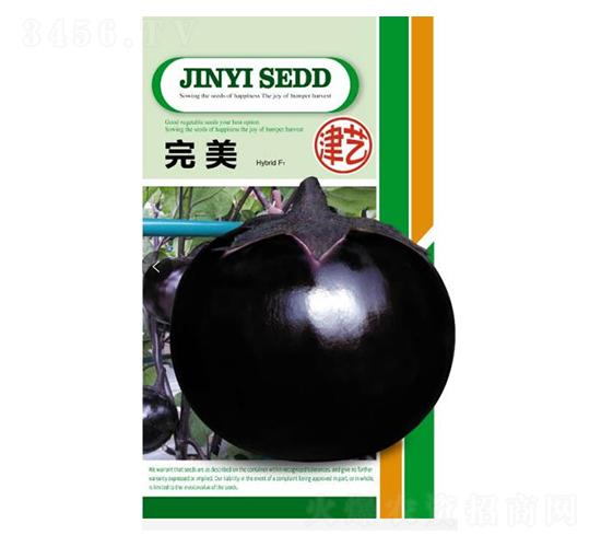 茄子種子-完美-邯豐農(nóng)業(yè)