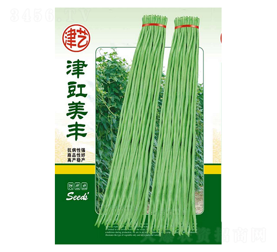 豆角種子-津豇美豐-邯豐農(nóng)業(yè)