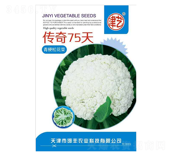 花菜種子-傳奇75天-邯豐農(nóng)業(yè)