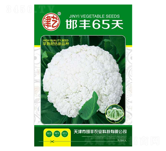 花菜種子-邯豐65天-邯豐農(nóng)業(yè)