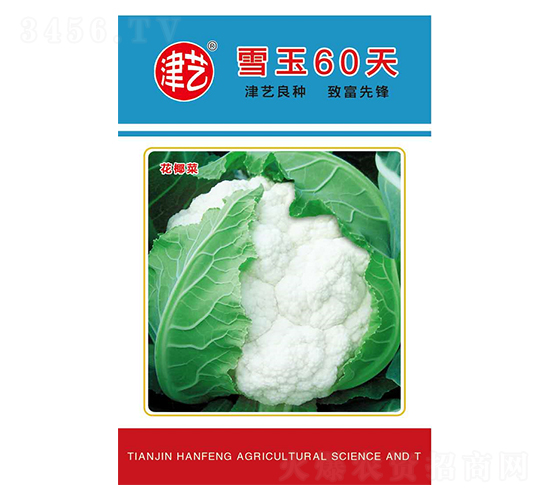 ���˷N��-ѩ��60��-���S�r�I(y��)