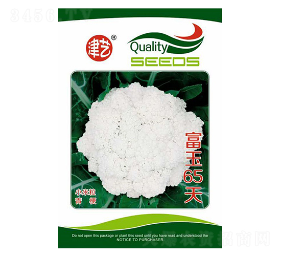 花菜種子-富玉65天-邯豐農業(yè)
