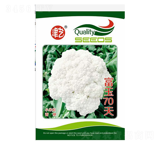 花菜種子-富玉70天-邯豐農(nóng)業(yè)