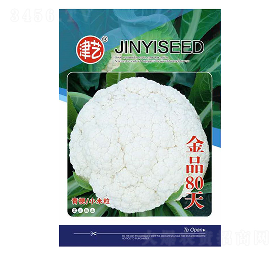 花菜種子-金品80天-邯豐農(nóng)業(yè)