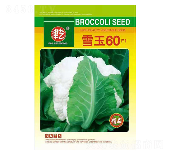 ���˷N��-ѩ��60-���S�r�I(y��)