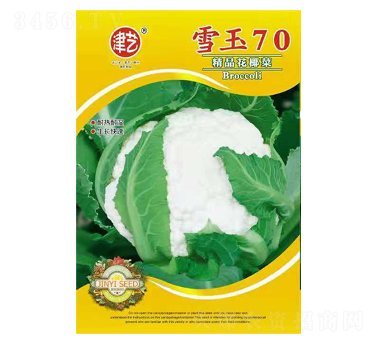 花菜種子-雪玉70-邯豐農(nóng)業(yè)