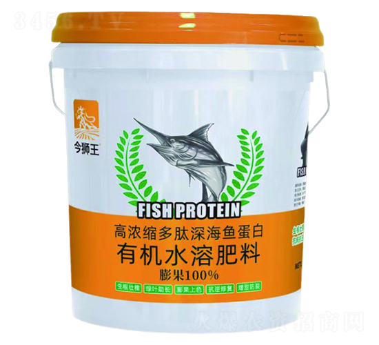 �ߝ�s������~����-��{��-�е����r