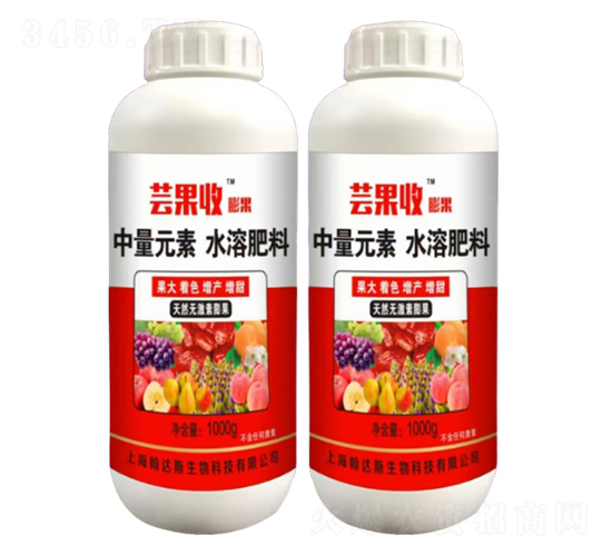 棗樹?；ū９?蕓果收-農(nóng)哥農(nóng)業(yè)