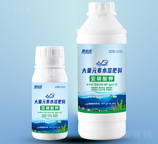 �������-ِ�؃�(y��u)