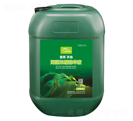 海藻濃縮精華液-普苒多施