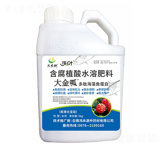 ���ĺ����~(y��)����-�����-����ʩ