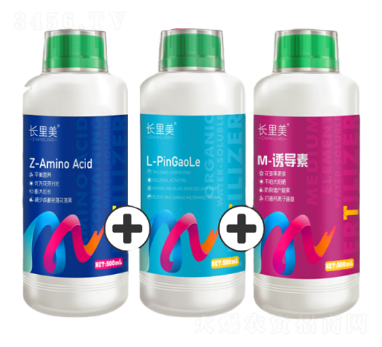 長(zhǎng)里美(Z+L+M)-柯依之綠