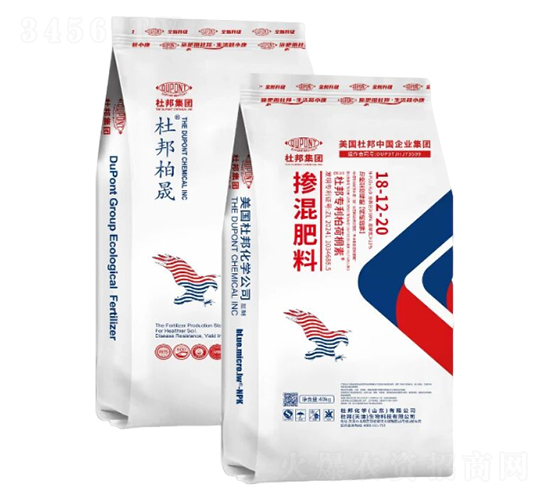 �������18-12-20-�Ű����-�Ű�