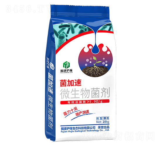 ������-�����o��