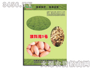 ����姿ƻ�5̖-�����N�� 