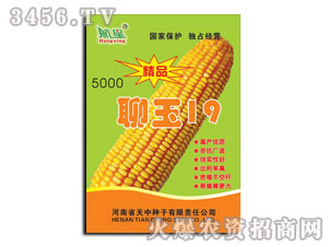 ��������19-���׷N��