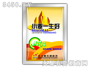 ������-С��һ����