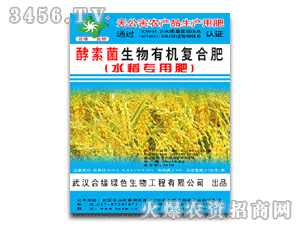 �Ͼ�����ˮ����