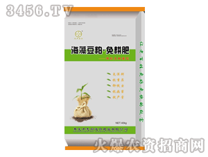 ־ͬ����-���嶹�������